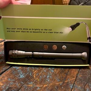 Magnetic snake light